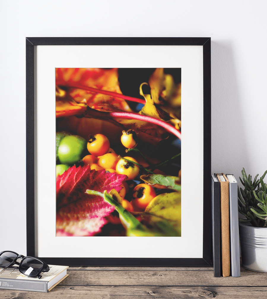 Autumn Display - Print in A4 or A3 Mount (2 of 3)
