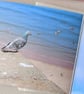 birds zine - Image 8