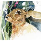 Hare in the Garden Giclee A4 print