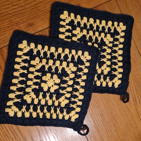 2 Pot holders 
