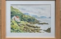 Original watercolour paintings
