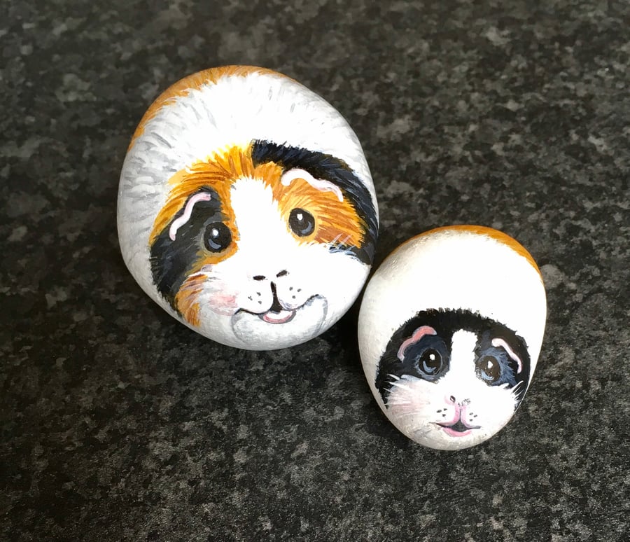 Guinea pigs hand painted pebbles rock art