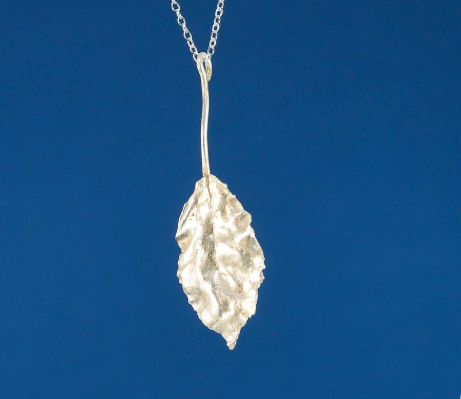 Silver Beech Leaf Pendant