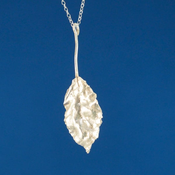 Silver Beech Leaf Pendant