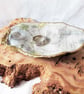 OYSTER SHELL TRINKET DISH ATLAS TRAVEL   - Image 2