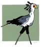Limited edition: Secretary Bird Lino Print Mounted - Image 2