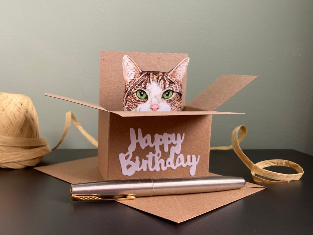 Cat Birthday Card - Tabby Cat box card. Birthday gift card holder for cat lovers
