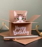 Tabby Cat Card; Birthday or personalised. Cat in a box gift card holder - Image 1