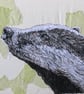 Badger Artwork