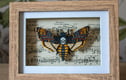 Layered Art