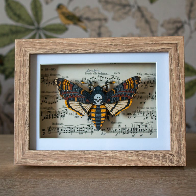 Death's Head Moth - 3D Artwork 