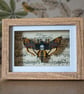 Death's Head Moth - 3D Artwork  - Image 1