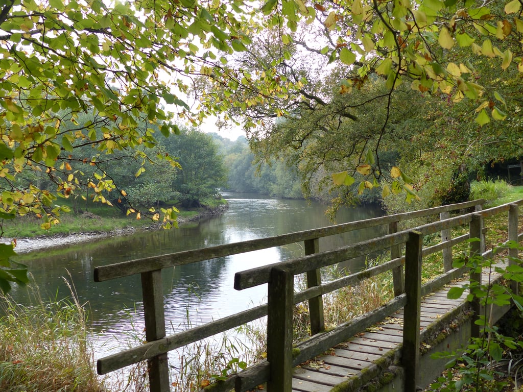 Woodland Walk by the Wye River