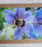 Bee on Geraniums Photo Card - Image 4