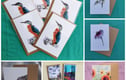 Any occasion greetings cards