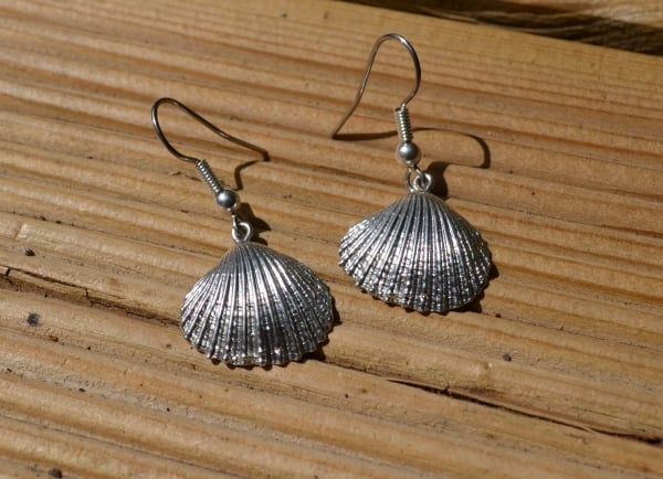 Cockle shell pewter earrings