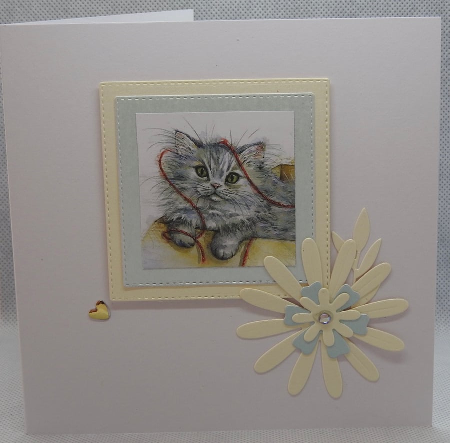 Pretty , fluffy cat card 