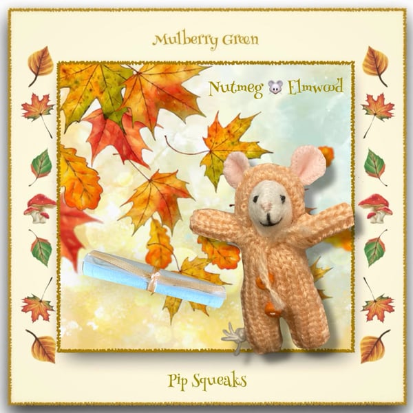 Nutmeg Elmwood - a Baby Pip Squeak from Mulberry Green 