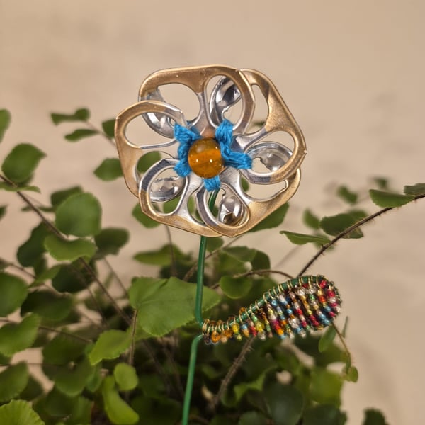 Gold, blue & orange flower plant companion perfect for pot plants