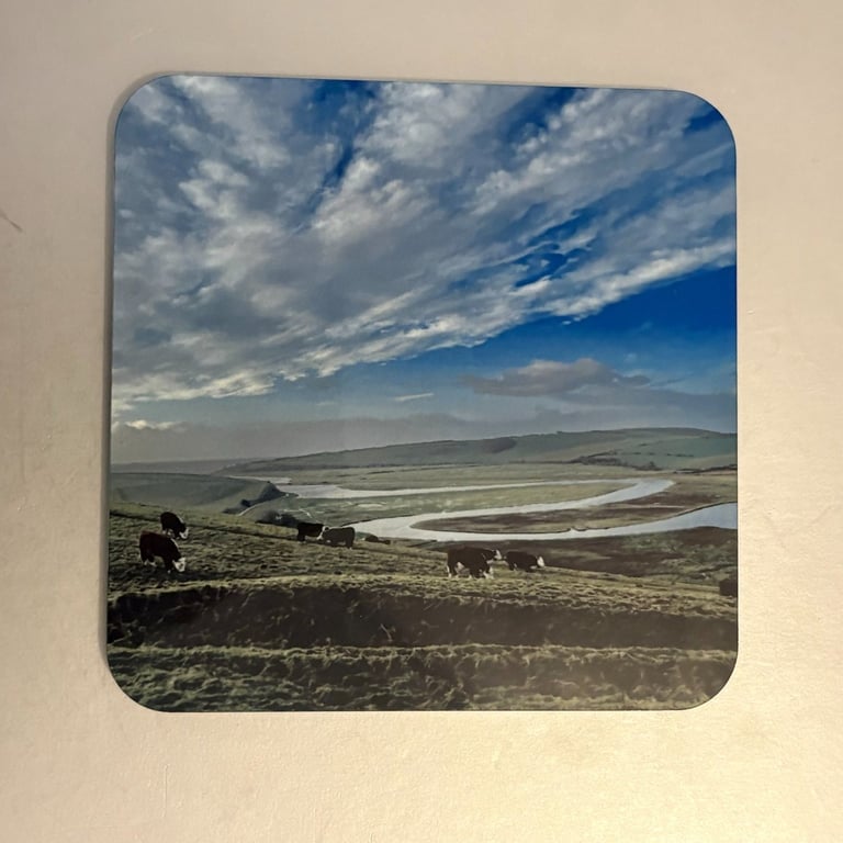 Cuckmere Cows cork backed 9.5cm coaster 