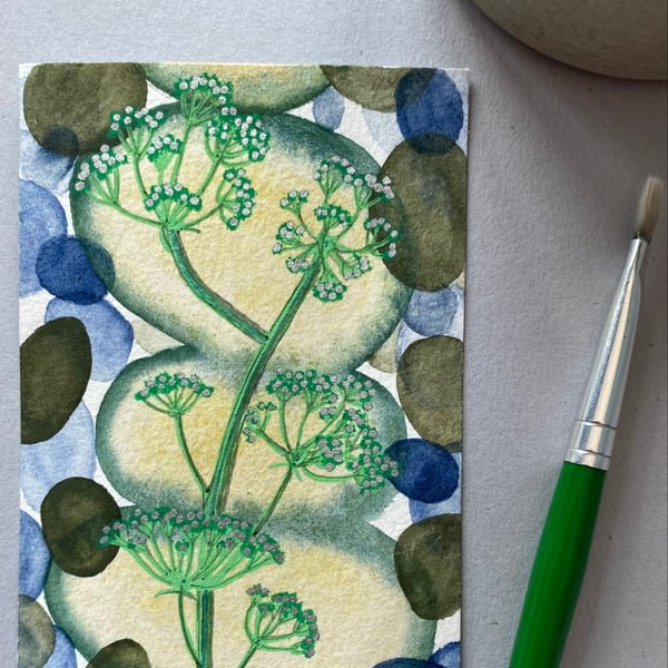 Aceo artwork Pebbles and Cow parsley