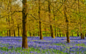Oxfordshire England Photographs Pictures Print