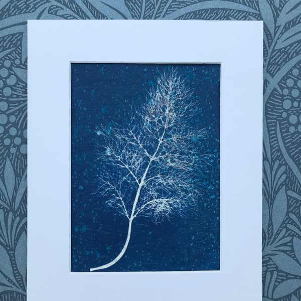 Cyanotype Photograms, Artful Aromatics- Fennel Leaf- Mounted or Framed