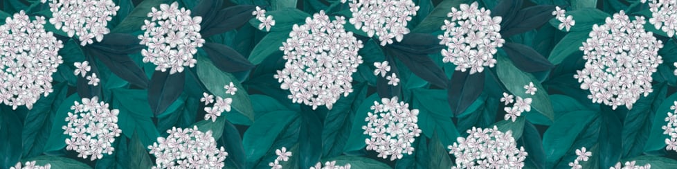 Jade Mosinski Design