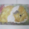 Guinea Pig Blank Greetings Card