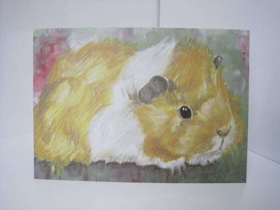 Guinea Pig Blank Greetings Card