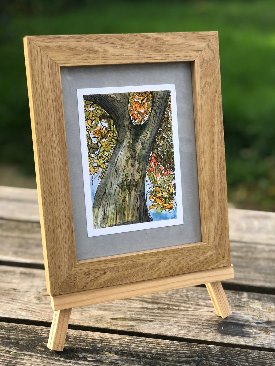 Hand Painted Illustration Autumnal Tree - A6