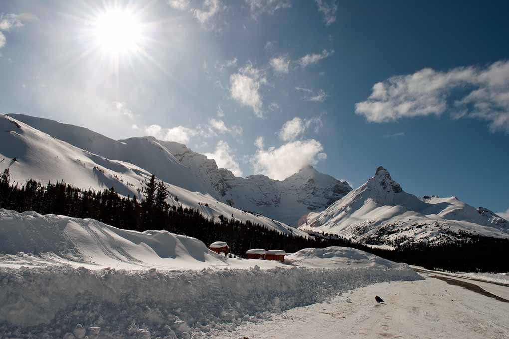 Canadian Rocky Mountains Icefields Parkway Canada Photograph Print