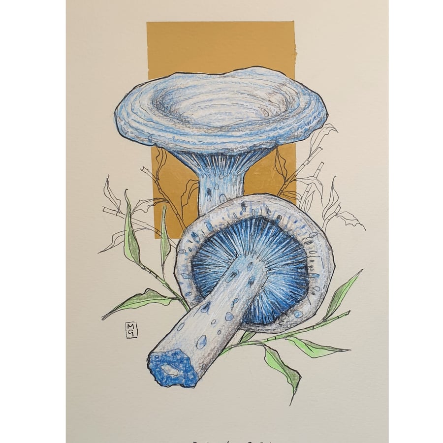 Indigo Milk Cap mushrooms drawing - Original mushroom wall art