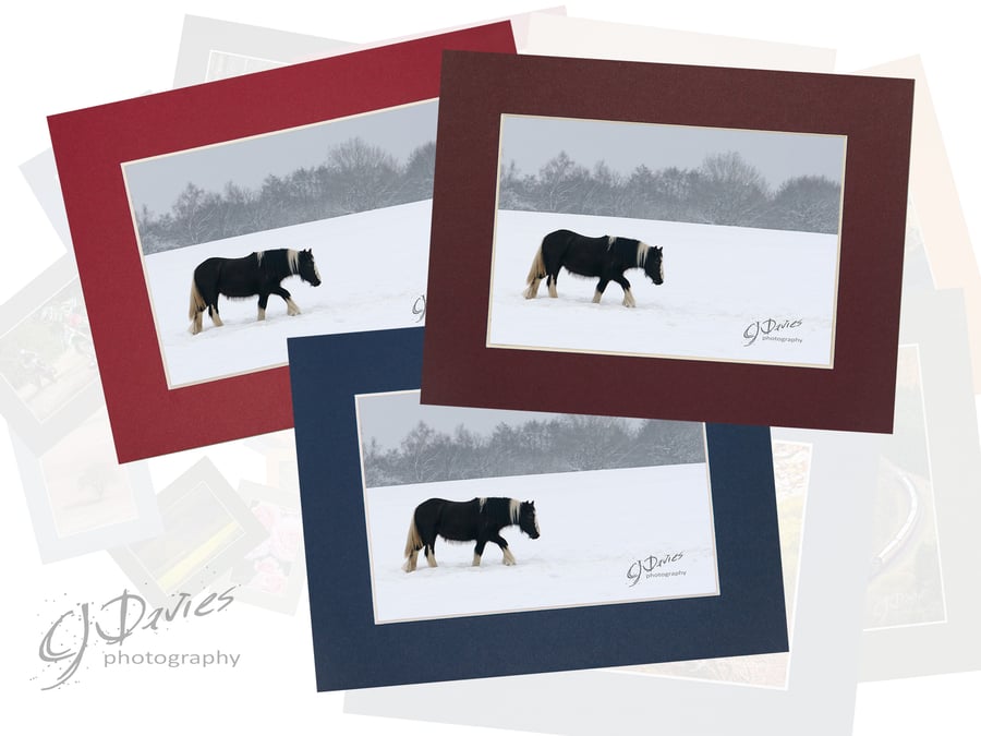 CJ121 - Christmas card: Trudging pony in the snow
