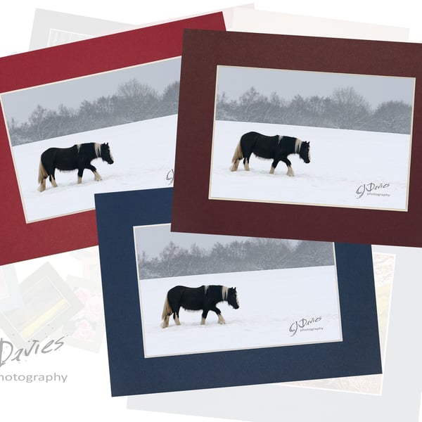 CJ121 - Christmas card: Trudging pony in the snow