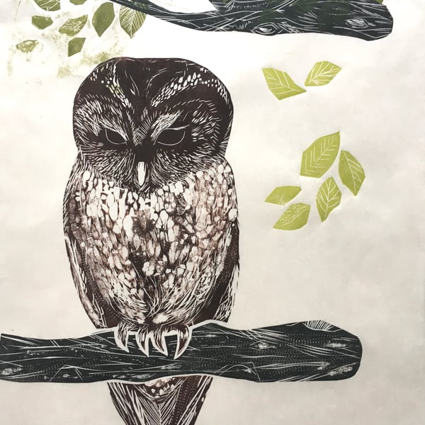 Tawny Owl - Lino Cut 