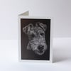 Wired Hair Fox Terrier Drawing Card