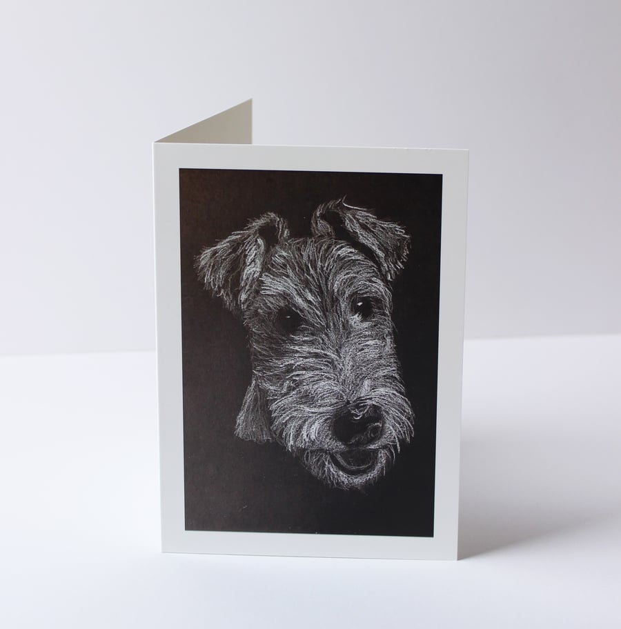 Wired Hair Fox Terrier Drawing Card