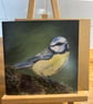 6 x 6 inch Blue Tit Card