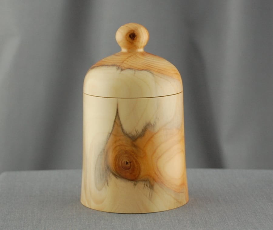 Unique Bird Surprise in Beautiful English Yew