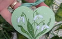 Snowdrop January Birth Flower Gifts
