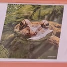 Amphibian ( Frog) Greeting Cards 