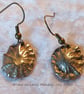 Bronze Shell Earrings - Image 3