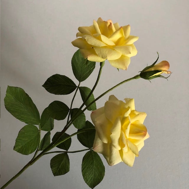Paper rose branch