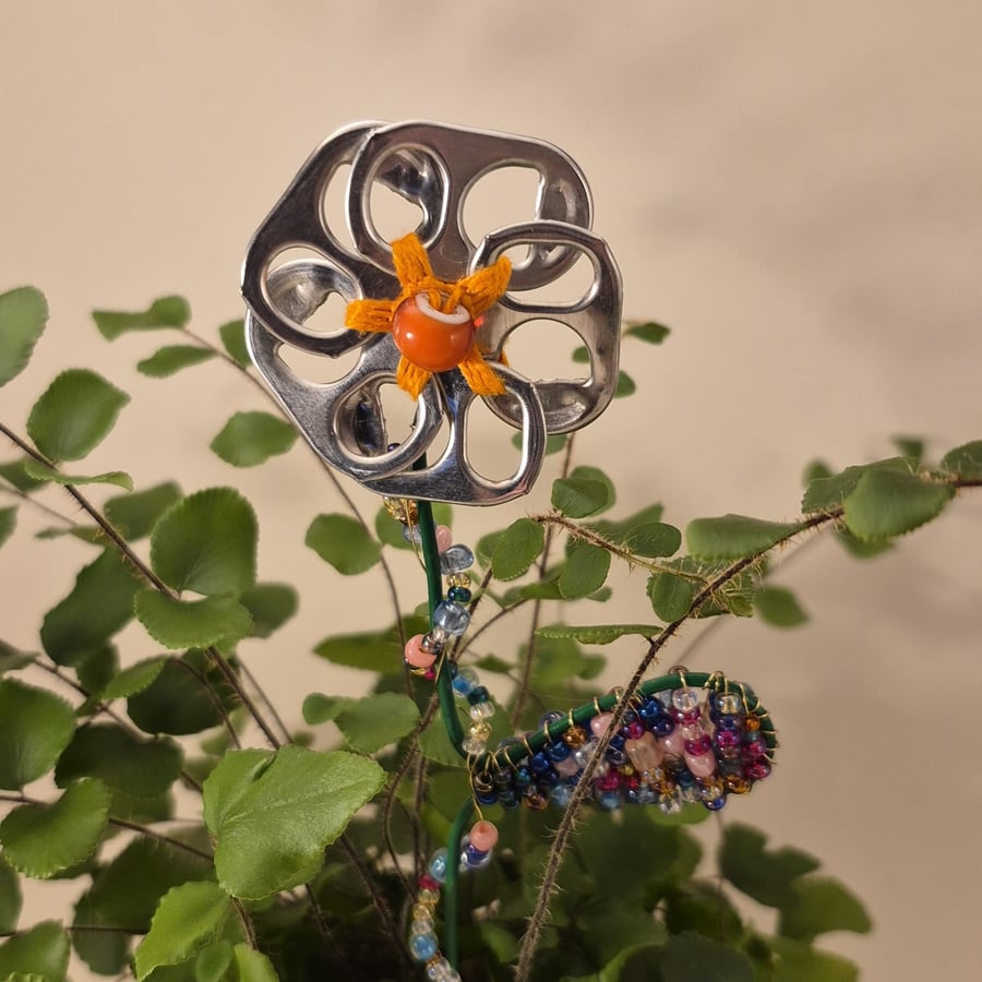 Silver, orange flower plant companions perfect for pot plants