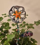 Silver, orange flower plant companions perfect for pot plants