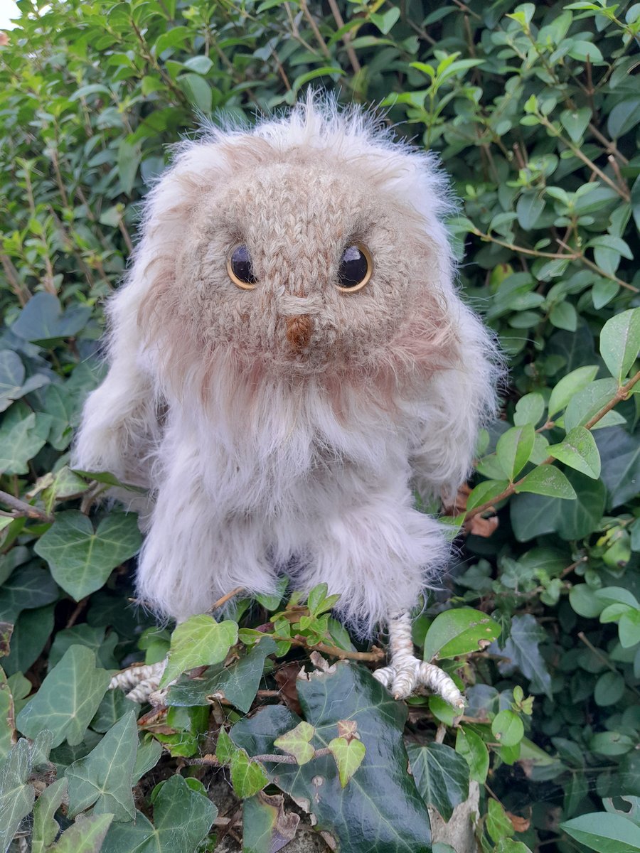 Baby Barn Owlet, dotpebblesknits design