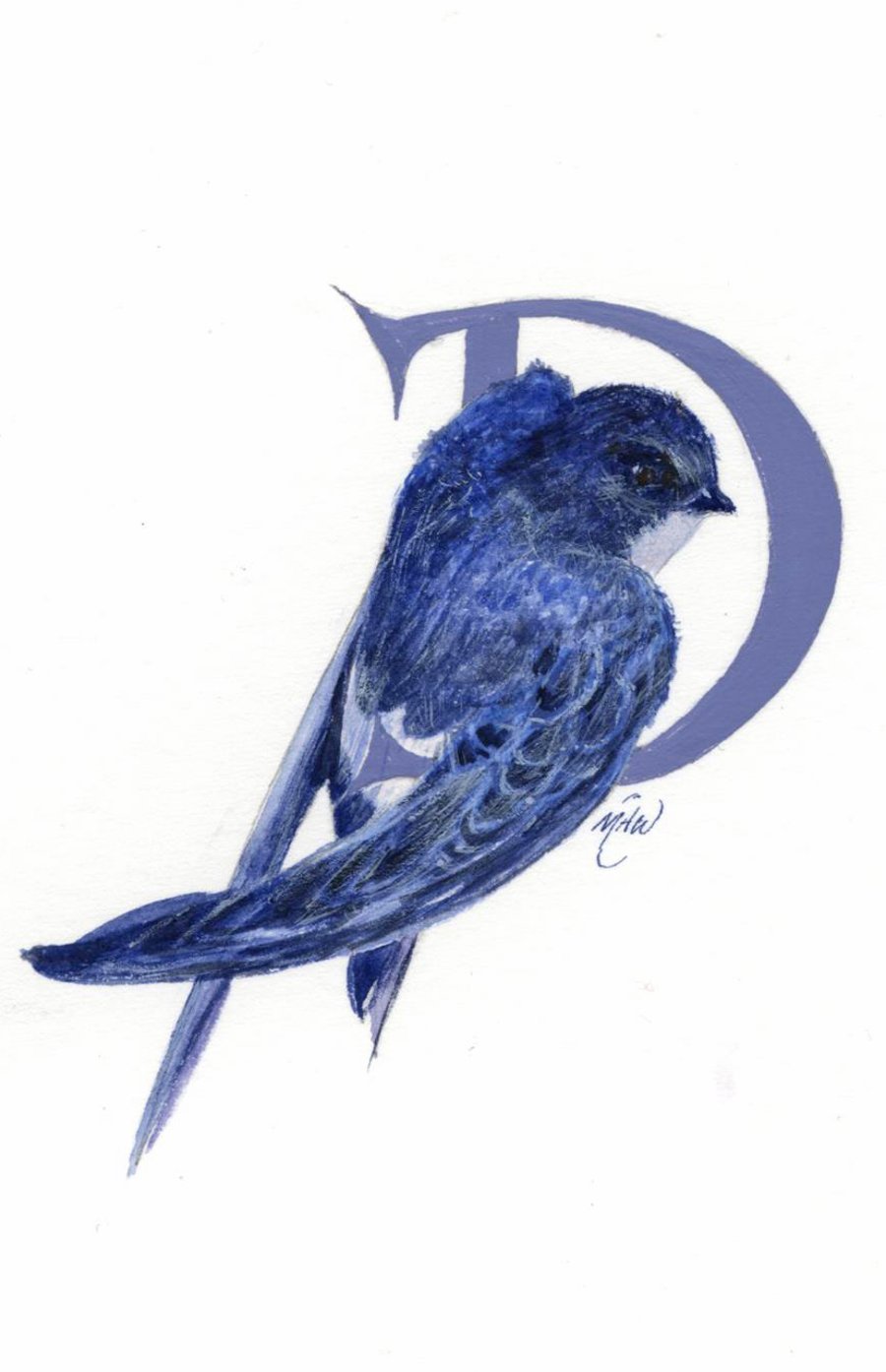 Illustrated letter 'D'