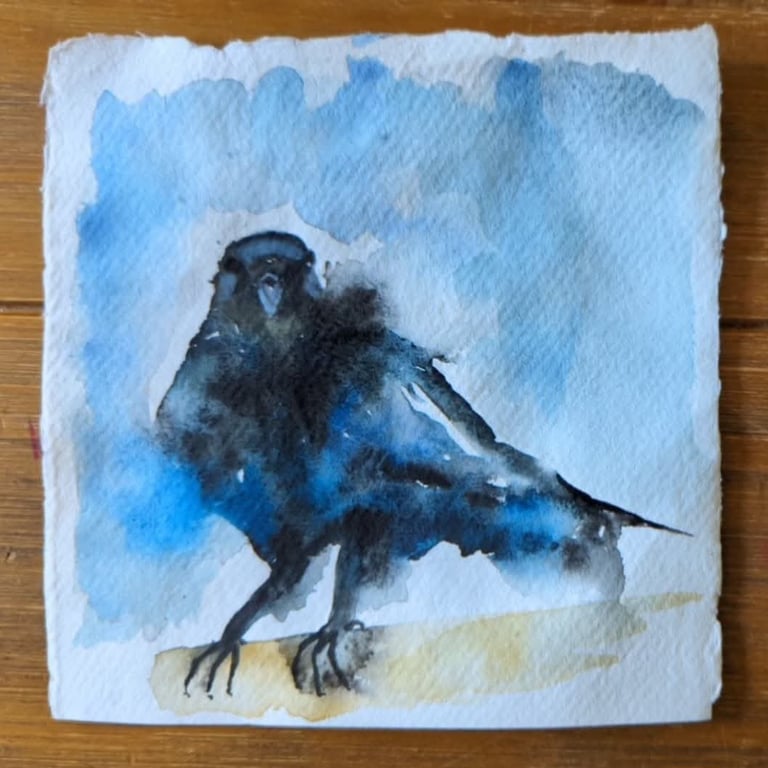 Original Watercolour Raven 