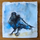 Original Watercolour Raven 